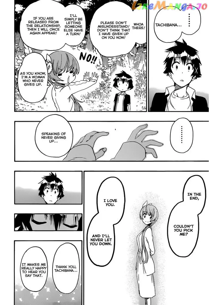 Nisekoi Chapter 219 image 17_optimized